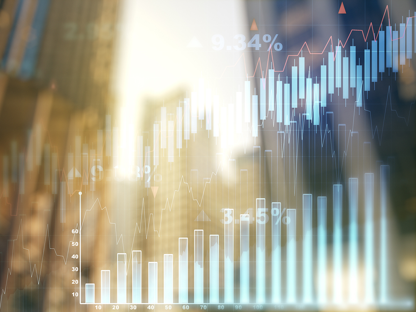 Investment Management